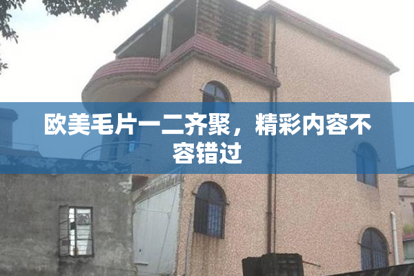 欧美毛片一二齐聚，精彩内容不容错过