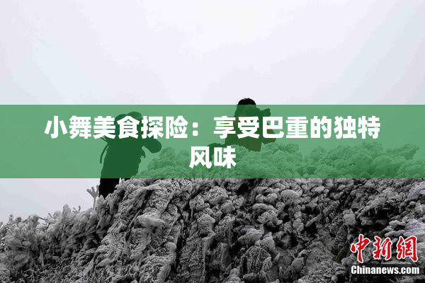 小舞美食探险：享受巴重的独特风味