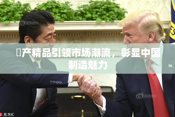 囯产精品引领市场潮流，彰显中国制造魅力