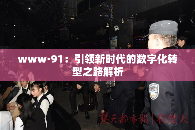 www·91：引领新时代的数字化转型之路解析
