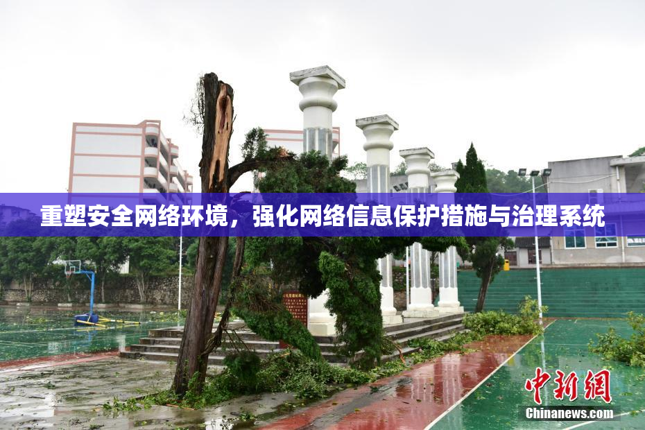 重塑安全网络环境，强化网络信息保护措施与治理系统