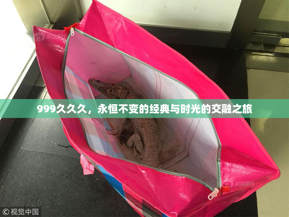 999久久久，永恒不变的经典与时光的交融之旅