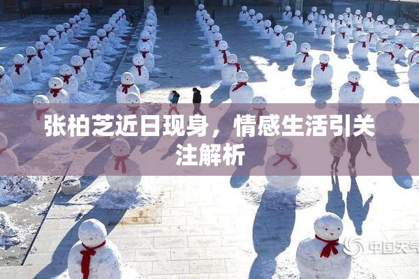 张柏芝近日现身，情感生活引关注解析