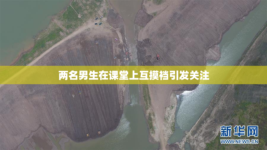 两名男生在课堂上互摸裆引发关注