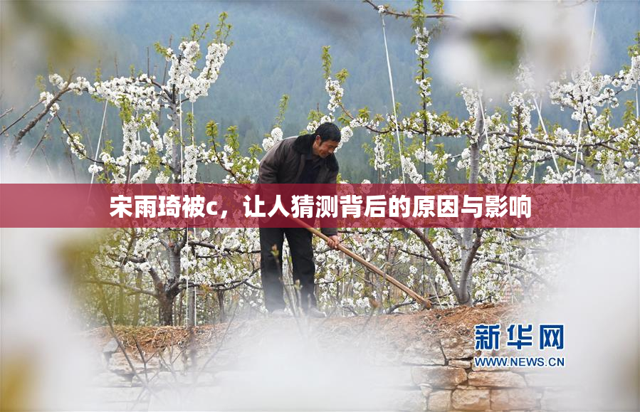 宋雨琦被c，让人猜测背后的原因与影响