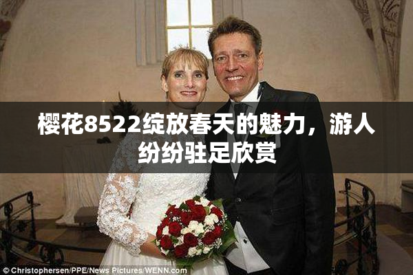 樱花8522绽放春天的魅力，游人纷纷驻足欣赏