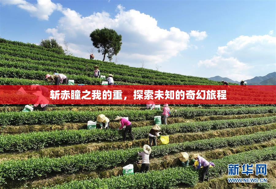 斩赤瞳之我的重，探索未知的奇幻旅程