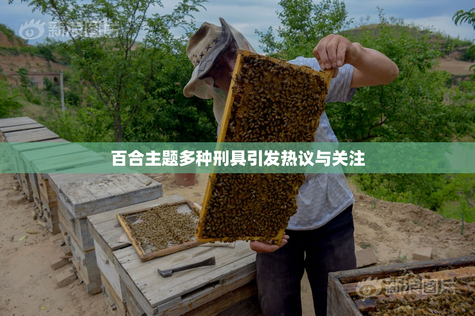 百合主题多种刑具引发热议与关注