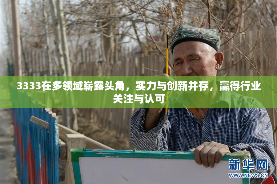3333在多领域崭露头角，实力与创新并存，赢得行业关注与认可