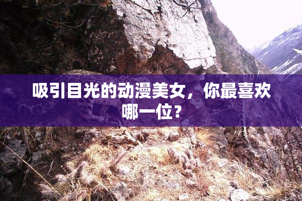 吸引目光的动漫美女，你最喜欢哪一位？