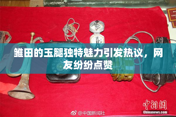 雏田的玉腿独特魅力引发热议，网友纷纷点赞