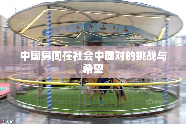 中国男同在社会中面对的挑战与希望