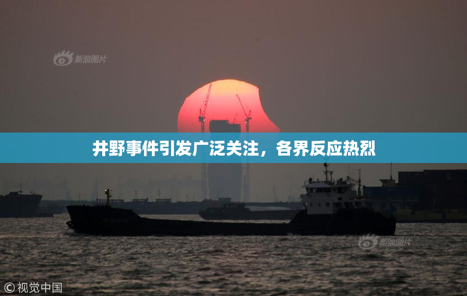 井野事件引发广泛关注，各界反应热烈