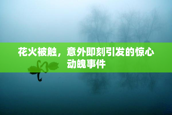 花火被触，意外即刻引发的惊心动魄事件