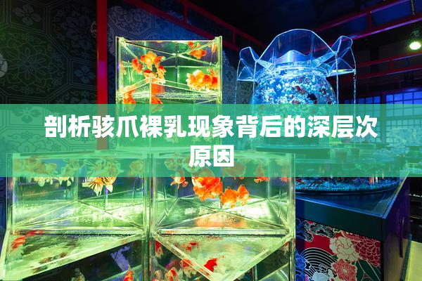 剖析骇爪裸乳现象背后的深层次原因