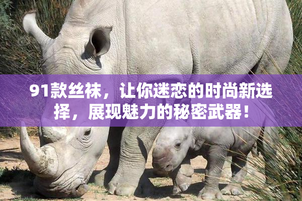 91款丝袜，让你迷恋的时尚新选择，展现魅力的秘密武器！