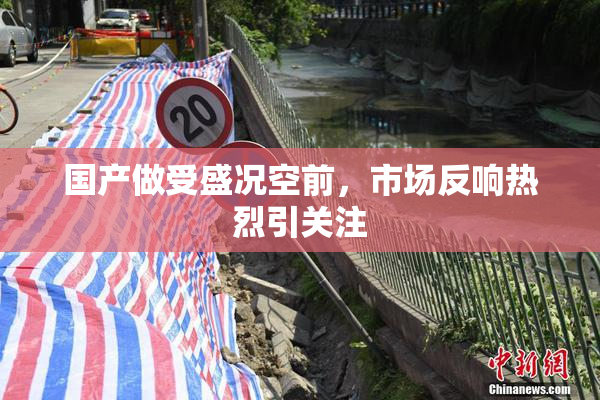 国产做受盛况空前，市场反响热烈引关注