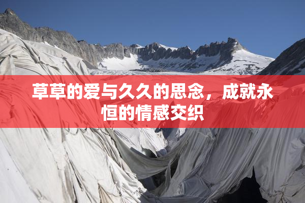 草草的爱与久久的思念，成就永恒的情感交织