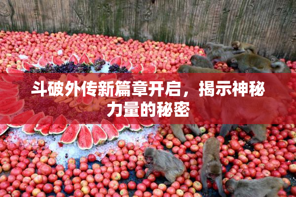 斗破外传新篇章开启，揭示神秘力量的秘密