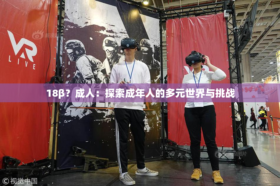 18β？成人：探索成年人的多元世界与挑战