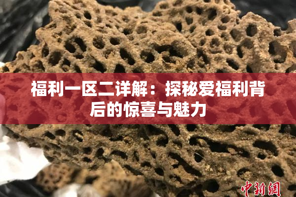 福利一区二详解：探秘爱福利背后的惊喜与魅力