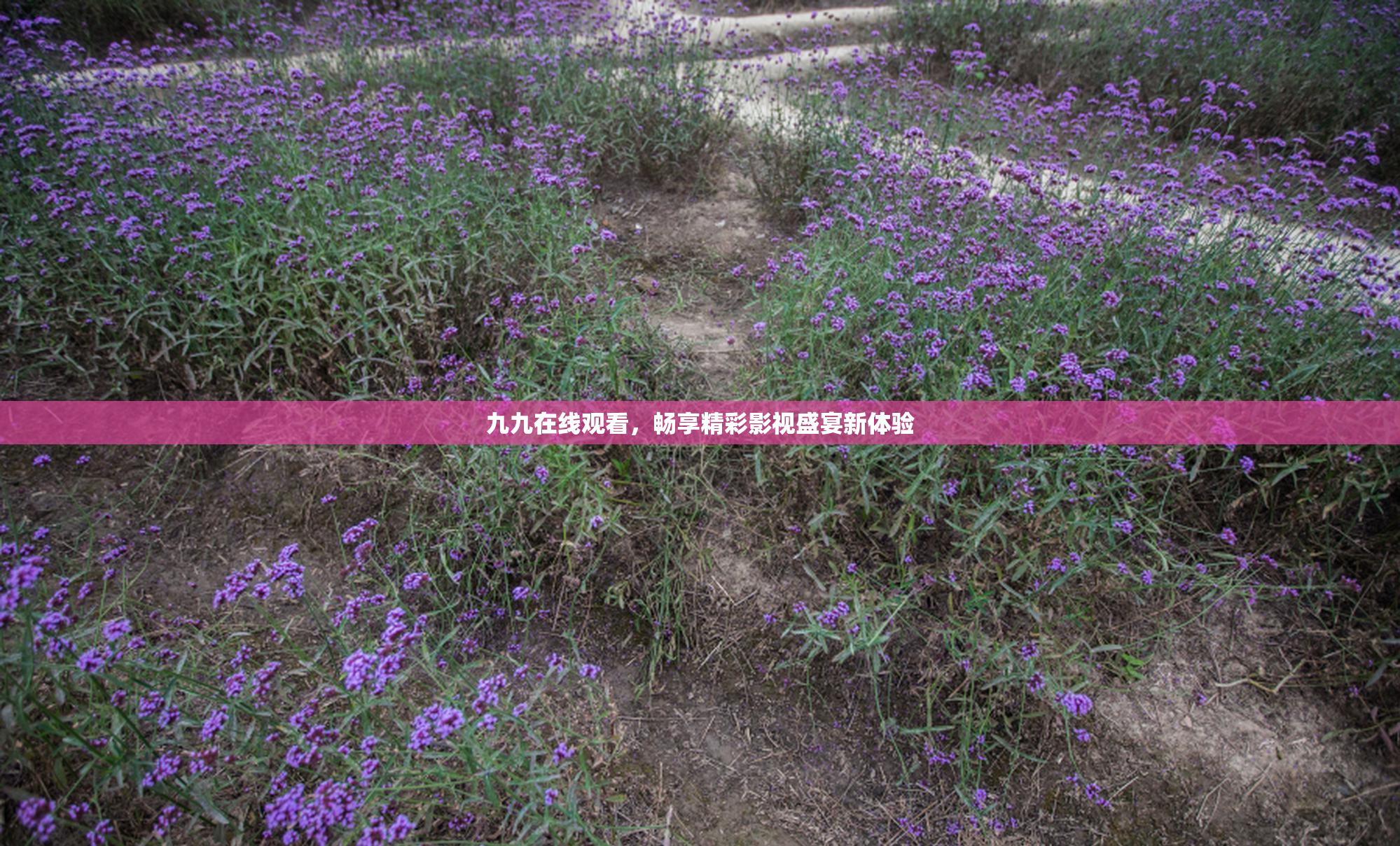 九九在线观看，畅享精彩影视盛宴新体验