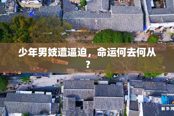 少年男妓遭逼迫，命运何去何从？
