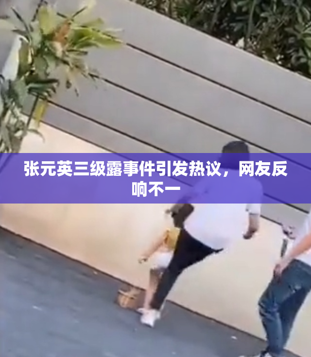 张元英三级露事件引发热议，网友反响不一
