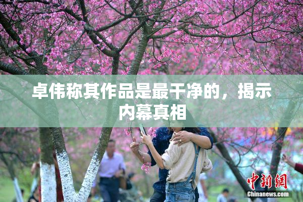 卓伟称其作品是最干净的，揭示内幕真相