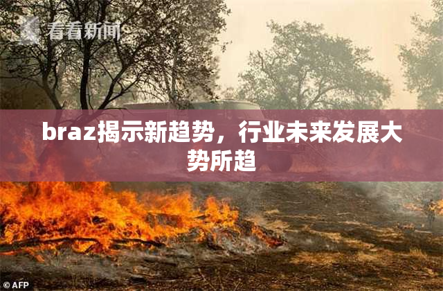 braz揭示新趋势，行业未来发展大势所趋