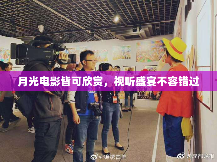 月光电影皆可欣赏，视听盛宴不容错过