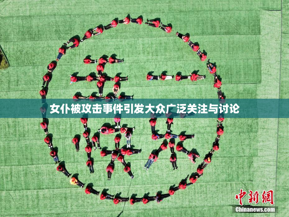 女仆被攻击事件引发大众广泛关注与讨论
