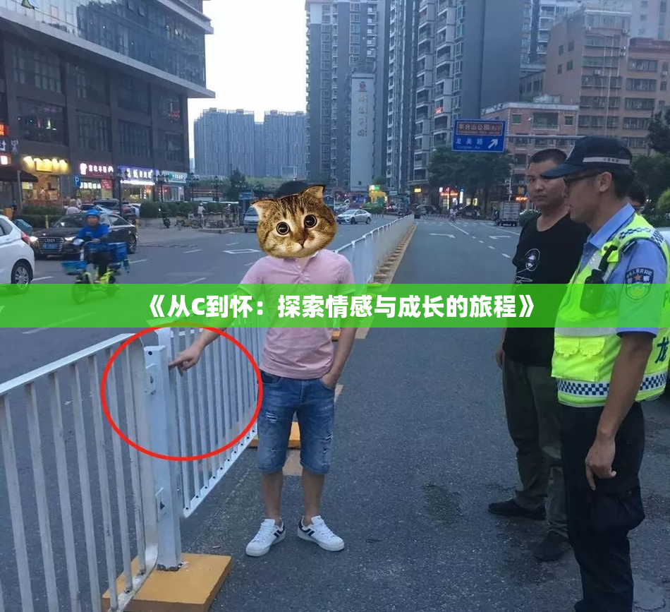 《从C到怀：探索情感与成长的旅程》
