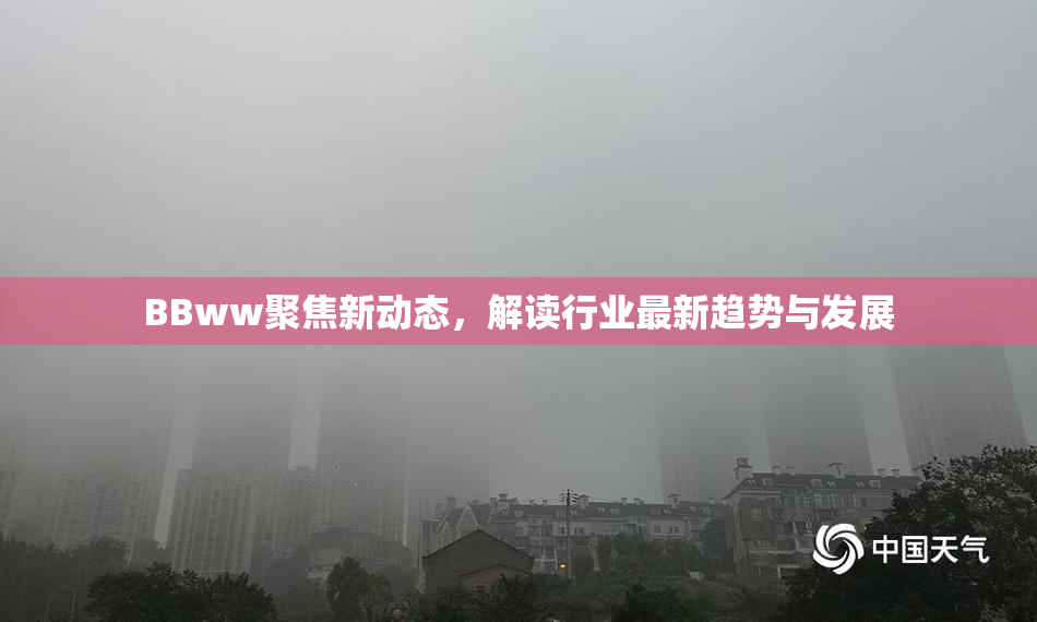 BBww聚焦新动态，解读行业最新趋势与发展