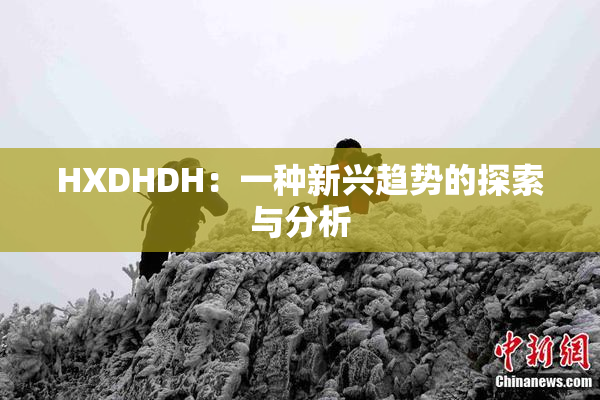 HXDHDH：一种新兴趋势的探索与分析