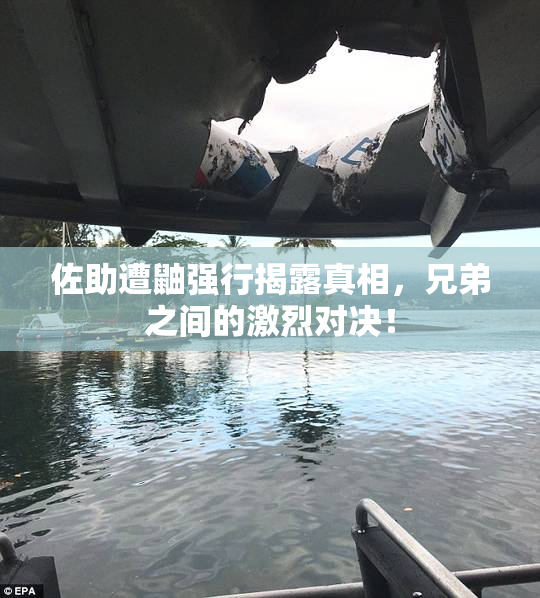 佐助遭鼬强行揭露真相，兄弟之间的激烈对决！