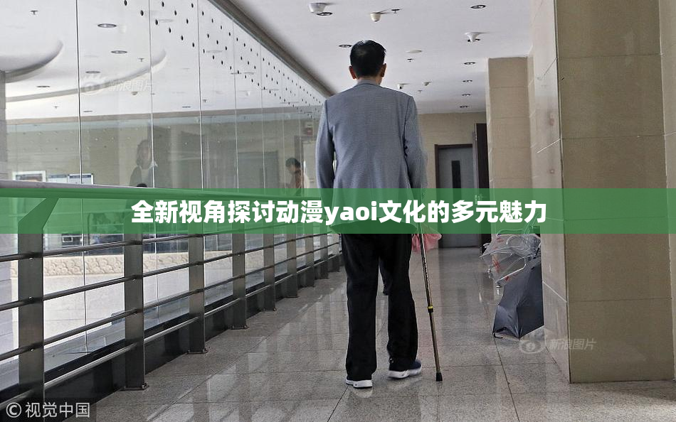 全新视角探讨动漫yaoi文化的多元魅力
