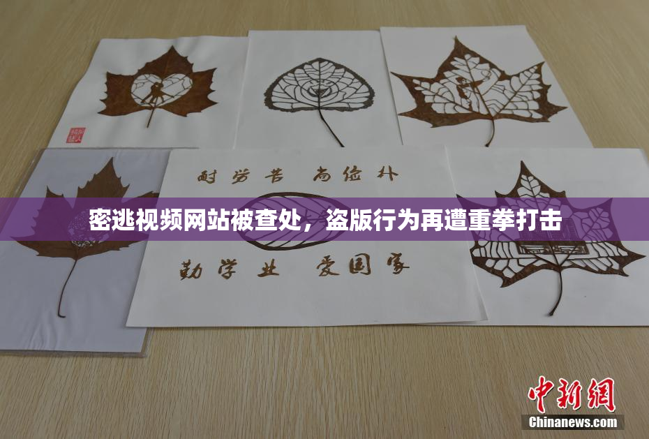 密逃视频网站被查处，盗版行为再遭重拳打击