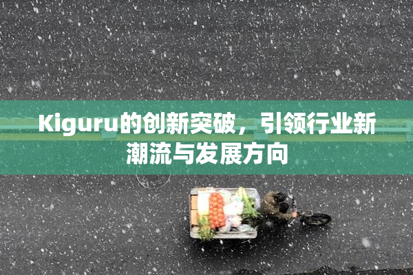 Kiguru的创新突破，引领行业新潮流与发展方向