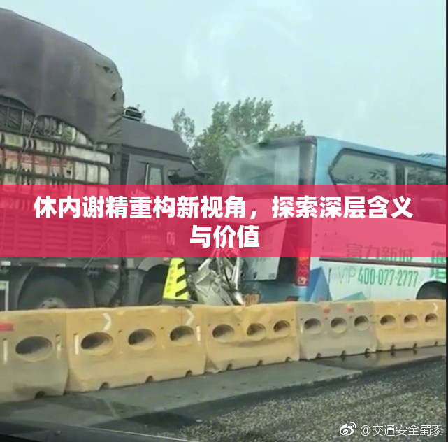 休内谢精重构新视角，探索深层含义与价值