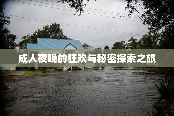 成人夜晚的狂欢与秘密探索之旅