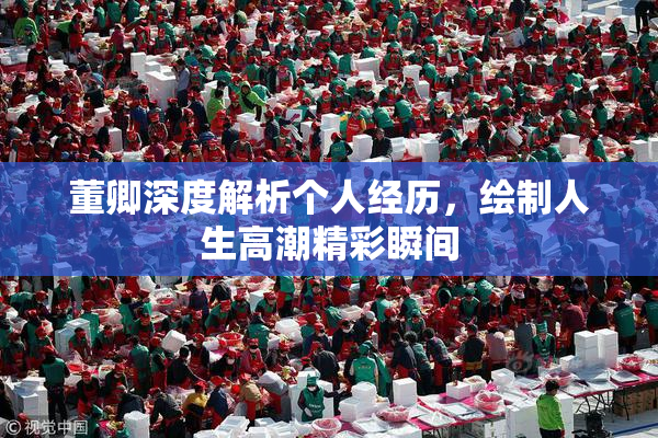 董卿深度解析个人经历，绘制人生高潮精彩瞬间