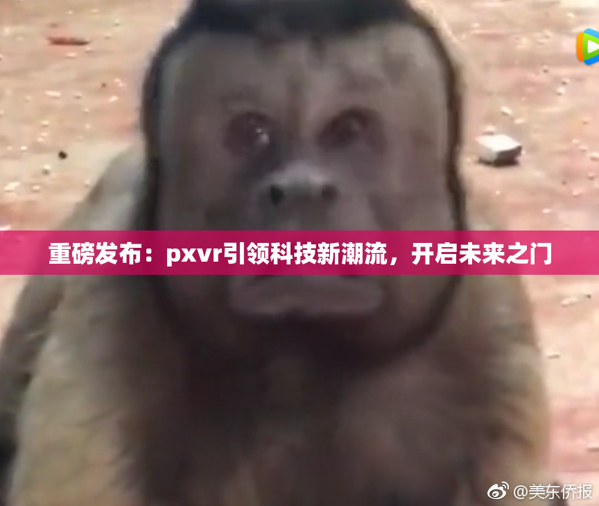 重磅发布：pxvr引领科技新潮流，开启未来之门