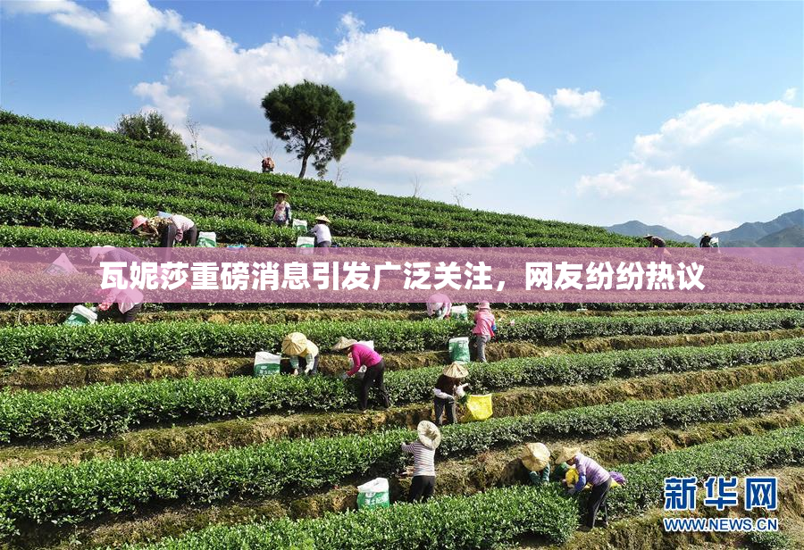 瓦妮莎重磅消息引发广泛关注，网友纷纷热议