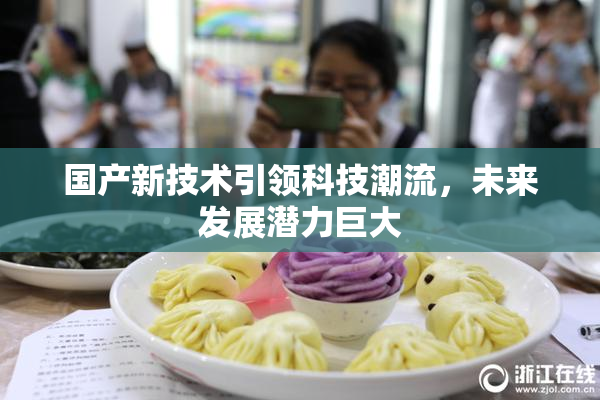 国产新技术引领科技潮流，未来发展潜力巨大