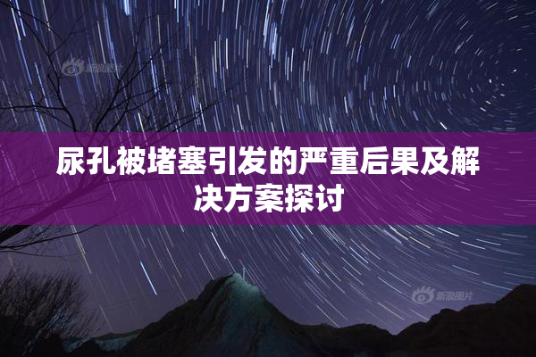 尿孔被堵塞引发的严重后果及解决方案探讨