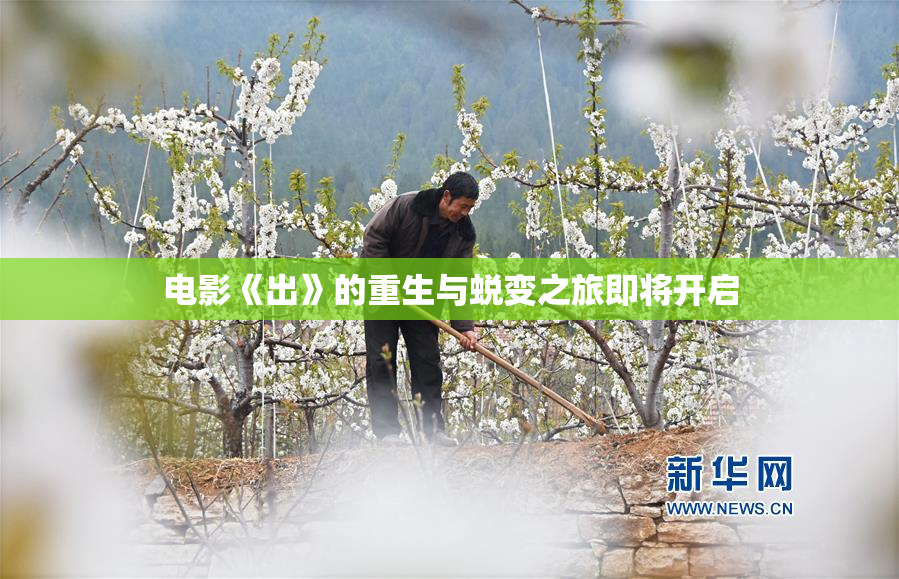 电影《出》的重生与蜕变之旅即将开启
