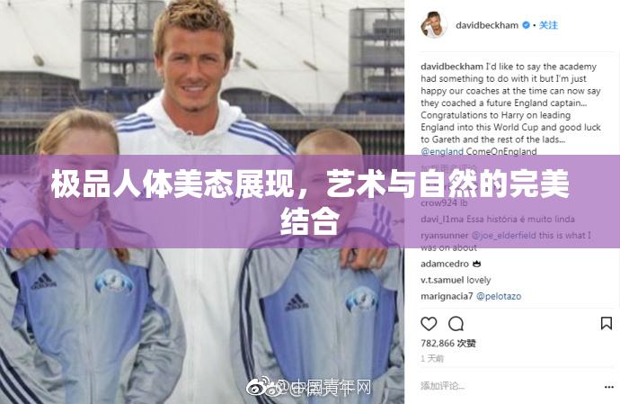 极品人体美态展现，艺术与自然的完美结合