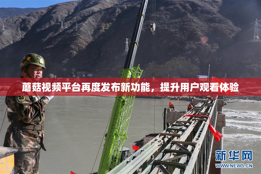 蘑菇视频平台再度发布新功能，提升用户观看体验