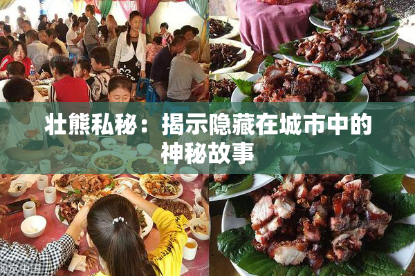 壮熊私秘：揭示隐藏在城市中的神秘故事